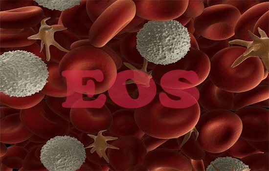 Xét nghiệm EOS - bạch cầu ái toan là gì? Chỉ số EOS cao báo hiệu điều gì?