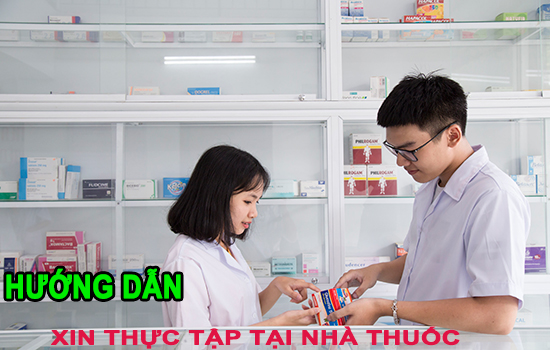 Cách xin thực tập tại nhà thuốc và những lưu ý cho sinh viên ngành Dược