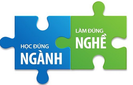 các ngành học đại học