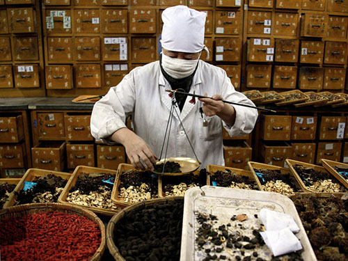 chứng chỉ thực hành nghề Y