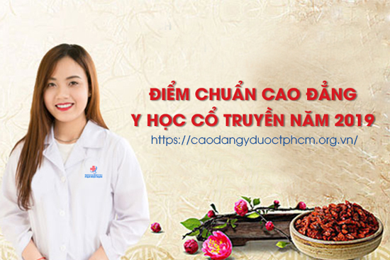Y học cổ truyền thi khối gì?