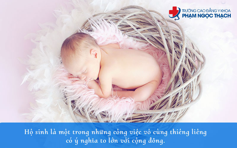 ng&agrave;nh hộ sinh