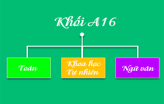 Khối A16