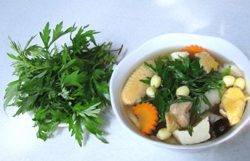tac-dung-cua-rau-ngai-cuu-doi-voi-suc-khoe