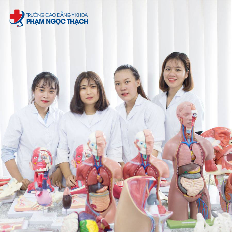 ngành dược có những trường nào