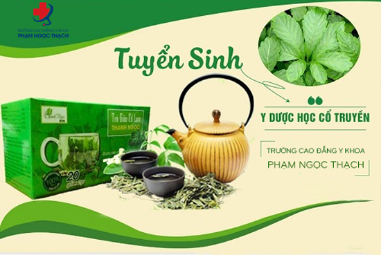 tuyển sinh cao đẳng y học cổ truyền phạm ngọc thạch