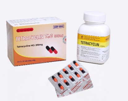 Thuốc Tetracyclin giúp ngăn chặn sự phát triển của vi khuẩn.