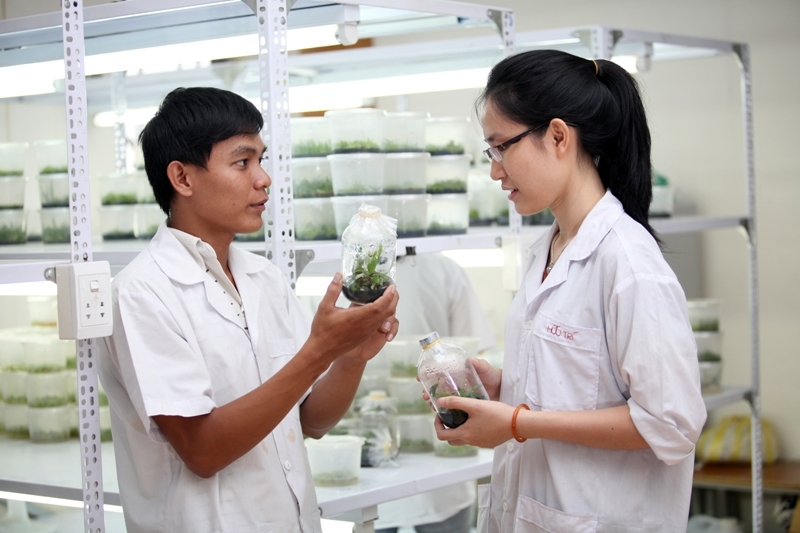 Y học dự phòng làm gì