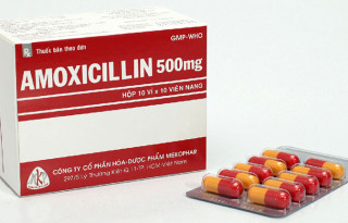 thuoc-amoxicillin-chong-chi-dinh-voi-mot-so-truong-hop-nao